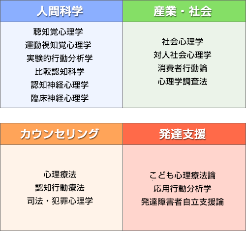 3年生から学べる発展科目（選択科目）